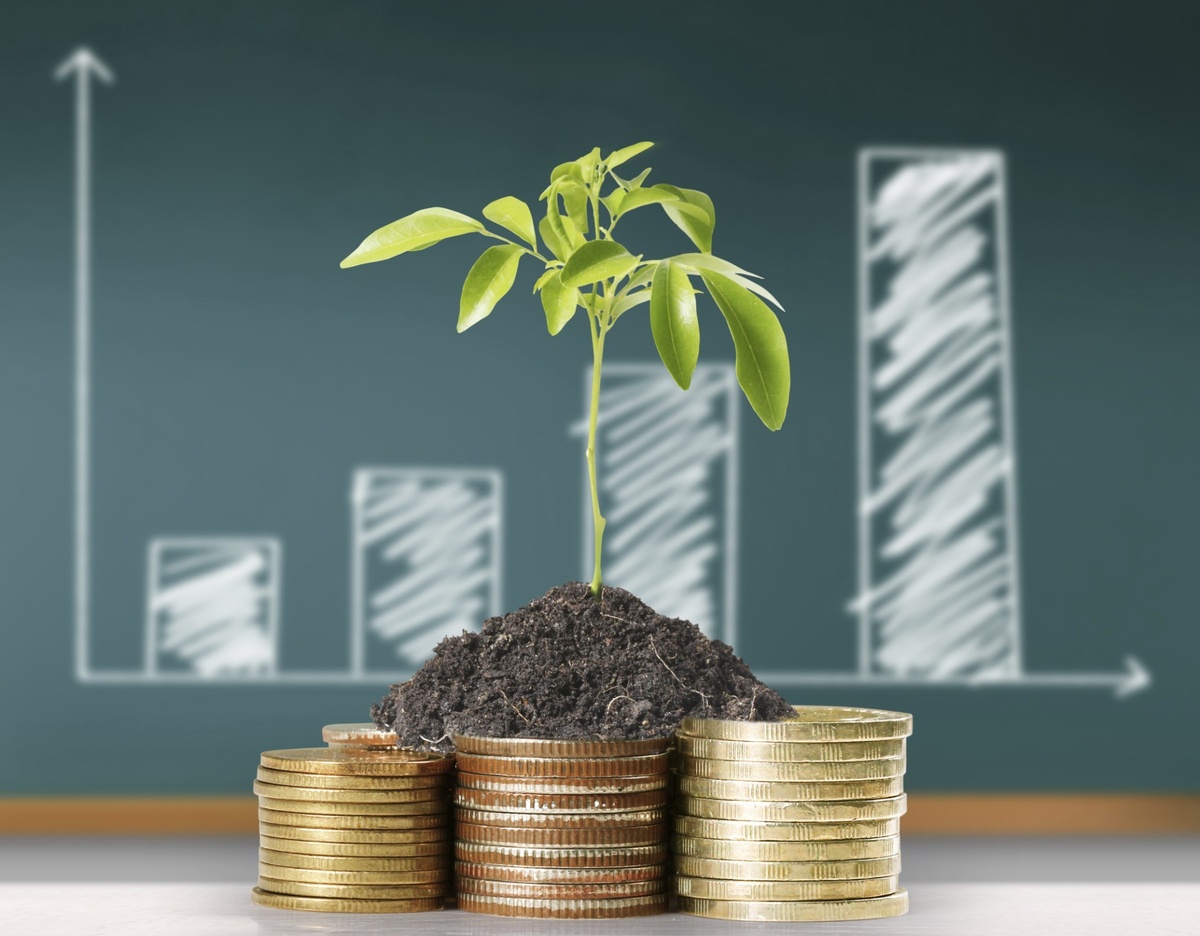 Инвестиции 