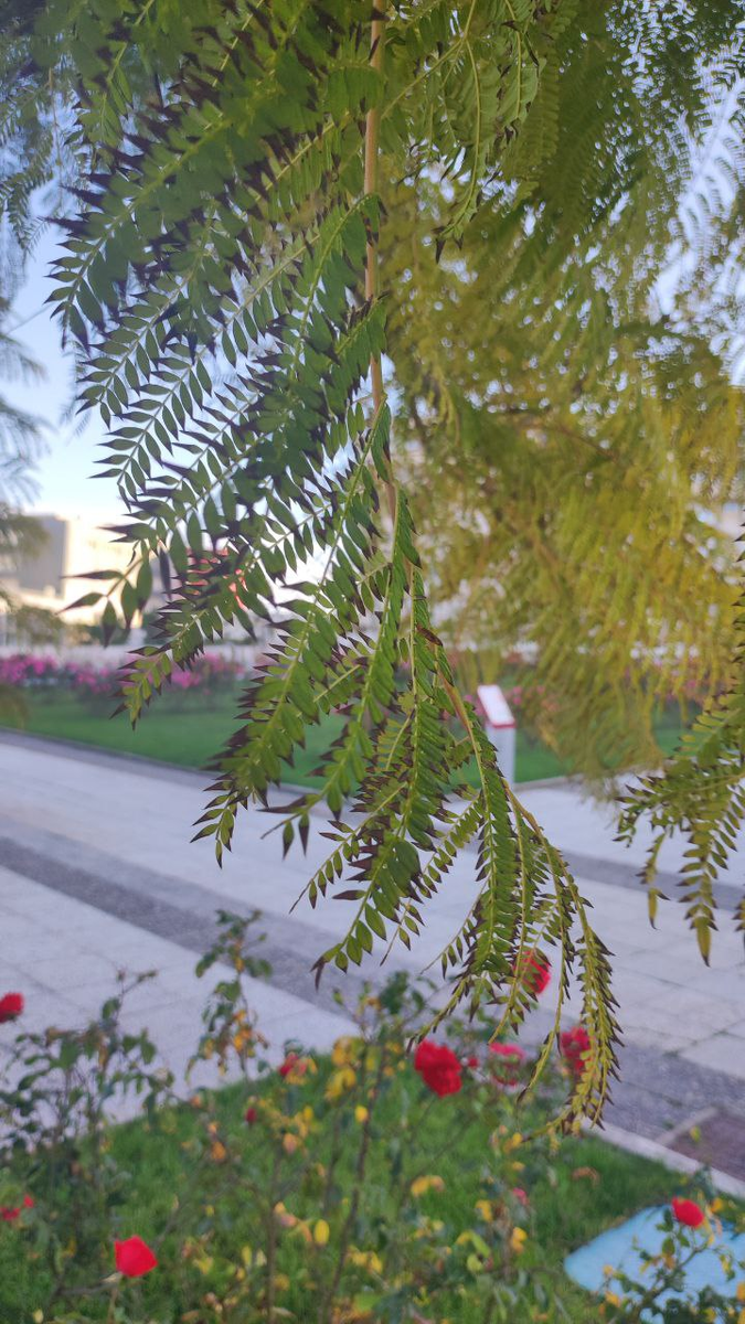 Фотография из личного архива