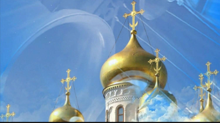 Фото взято из простора интернета.