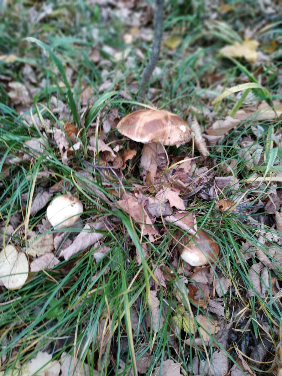 Фото из семейного архива автора канала