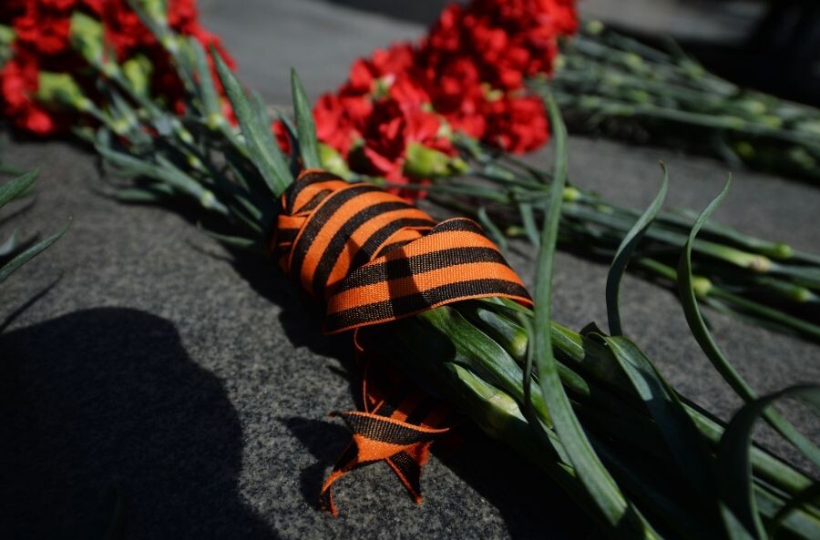     / Источник: © Павел Лисицын/РИА Новости