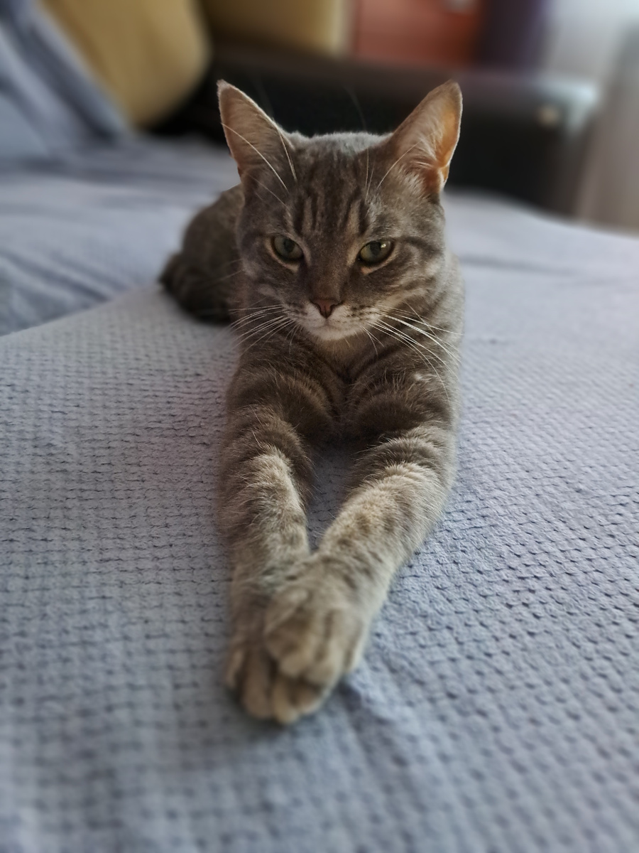 Вот он мой красавчик 