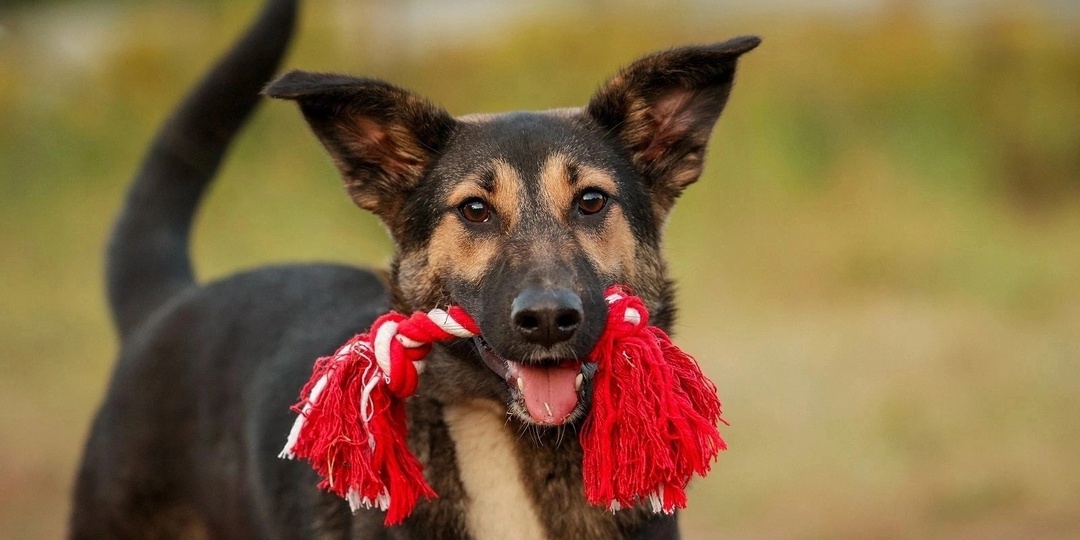 Компанейская, улыбчивая, жизнерадостная и никогда не унывающая Вега в поисках своего человека💥