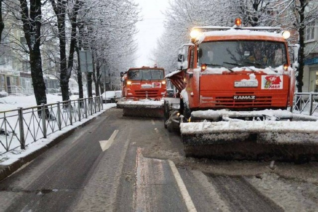   Фото из телеграм-канала Елены Дятловой