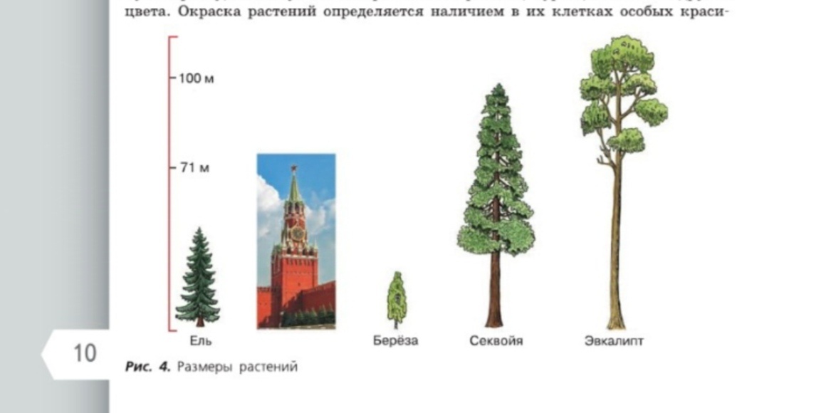 Стр.10 Рис.4