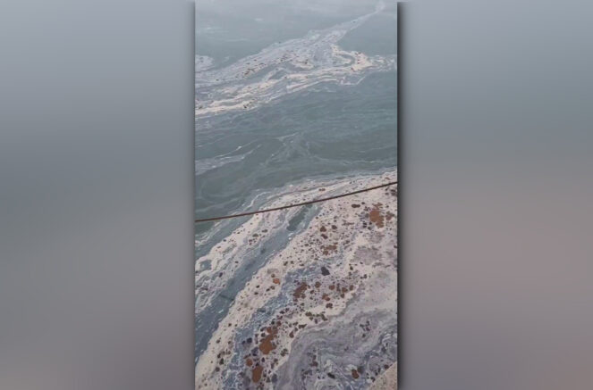    Растворитель в реке Дон в Ростове / Югополис