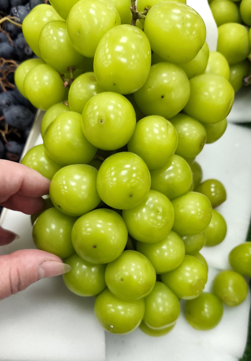 Виноград настоящий, съедобный