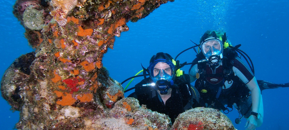 Из открытых источников.