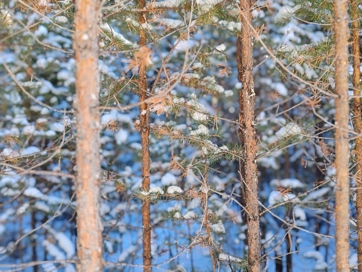   МК в Бурятии