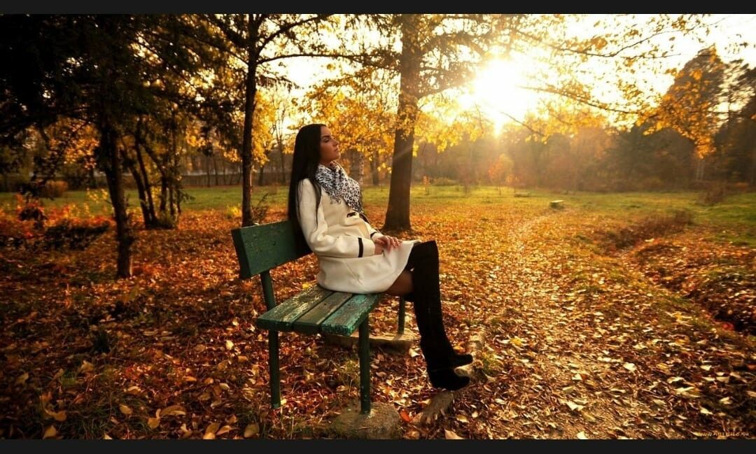 Из открытого доступа