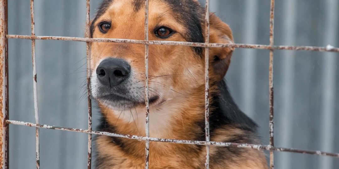 В поисках своего человека Марк❤️