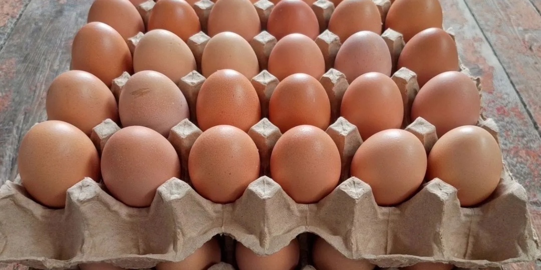 Отказались от этих продуктов и не жалеем об этом (возможно, вы тоже захотите)