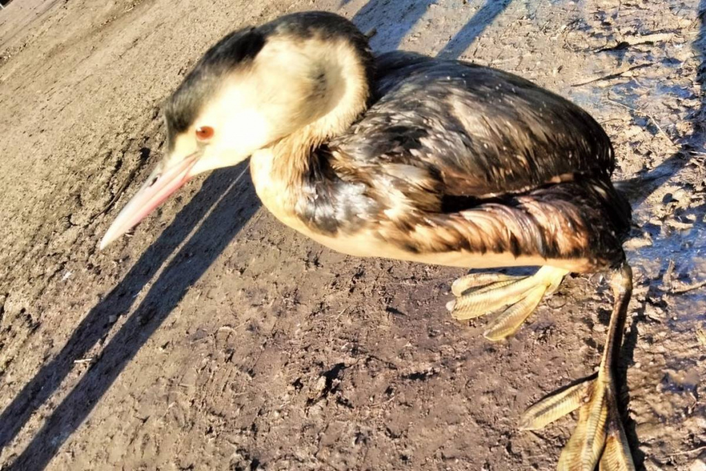    photo_2025-01-10_09-56-49