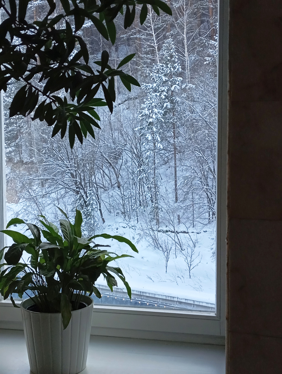 Санаторий Родник Алтая. Цветы на подоконнике на лестничном пролете