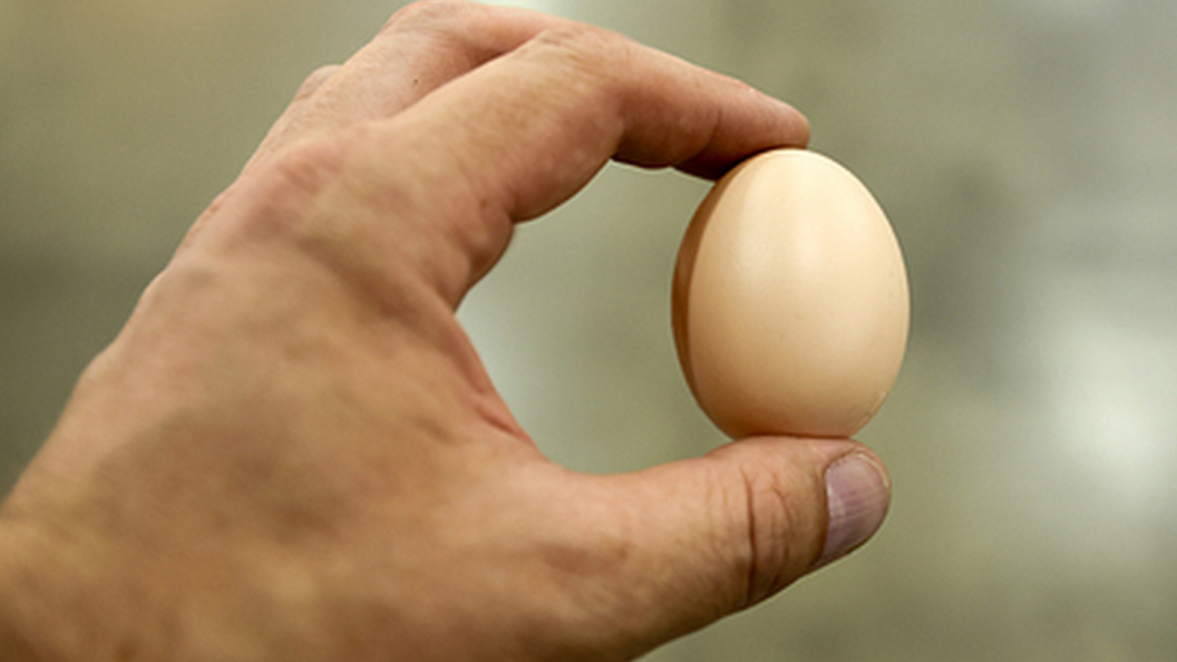    Фото: Сергей Петров/Globallookpress