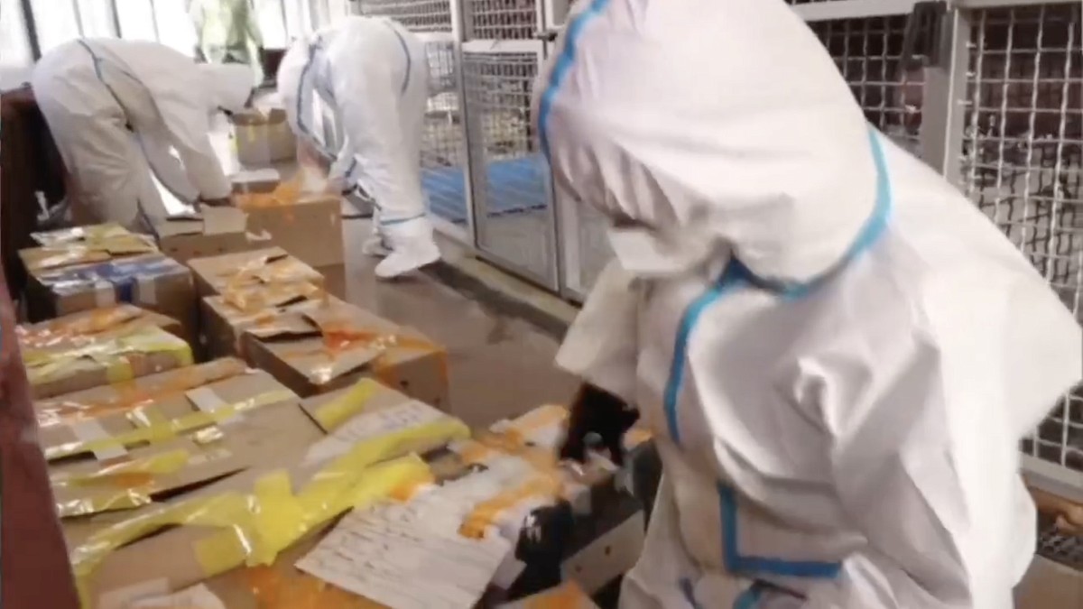    Фото: оперативный штаб Краснодарского края