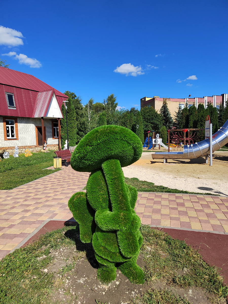 За елками администрация 