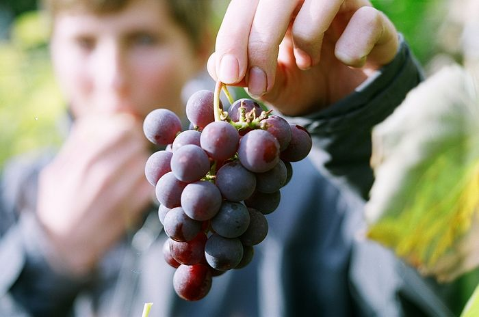 Источник: https://pravoslavie.ru/111857.html