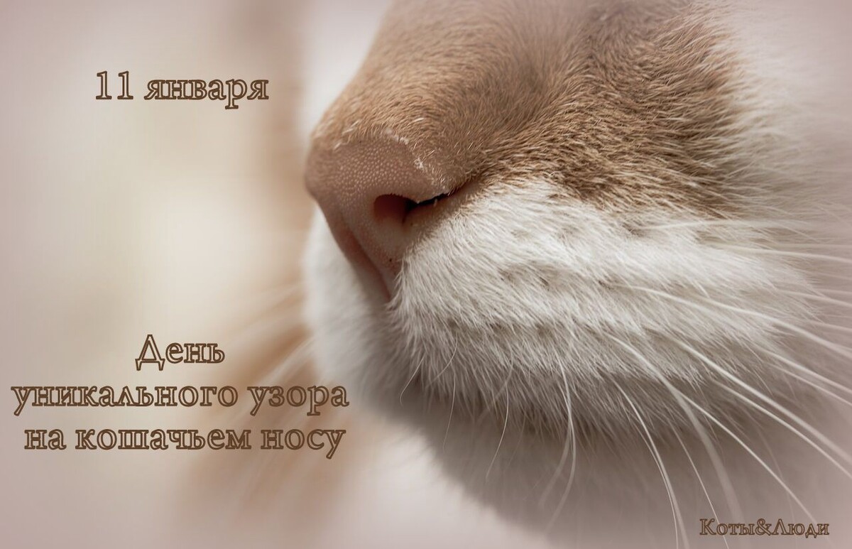 Коллаж автора