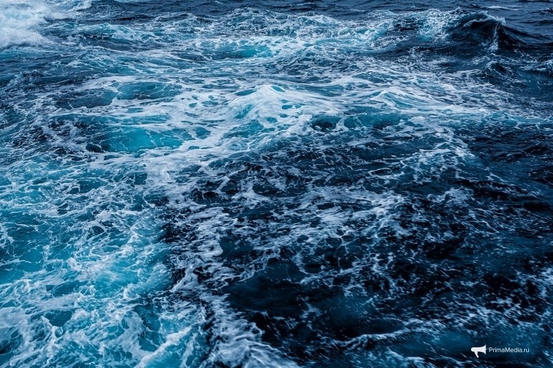    Фото: primamedia.ru Георгий