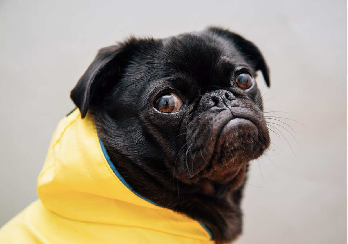 Фото unsplash.com