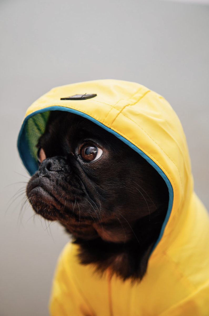 Фото unsplash.com