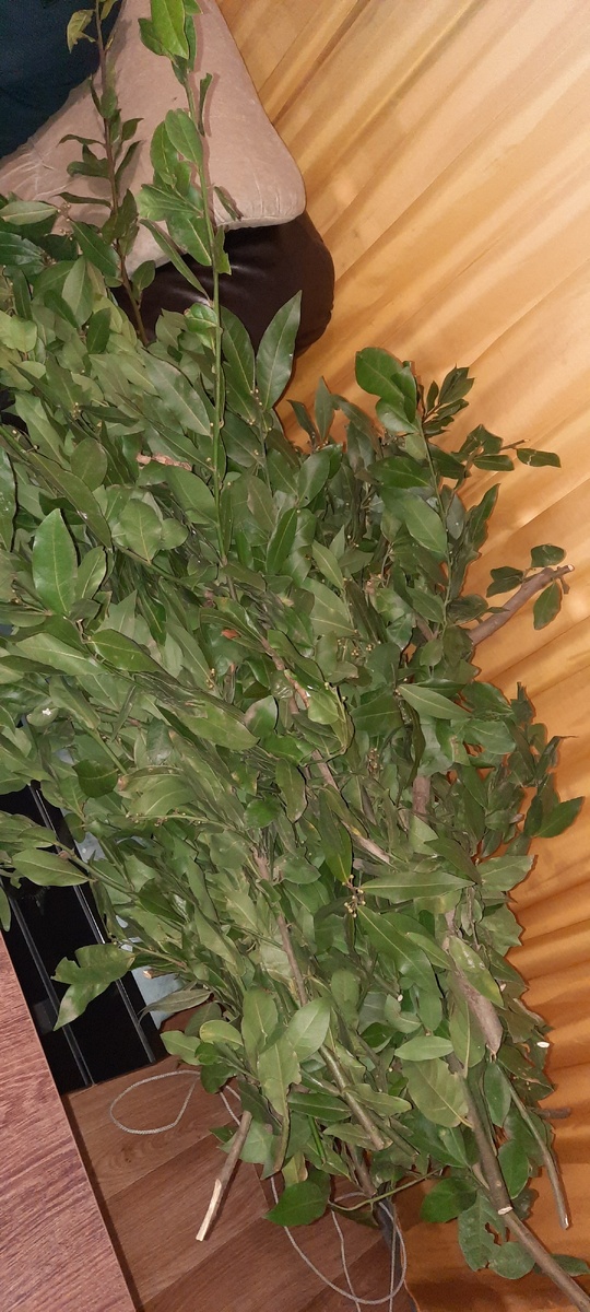 Подарок из Севастополя