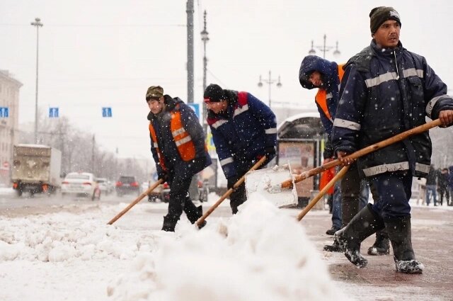    Фото: Администрация Санкт-Петербурга