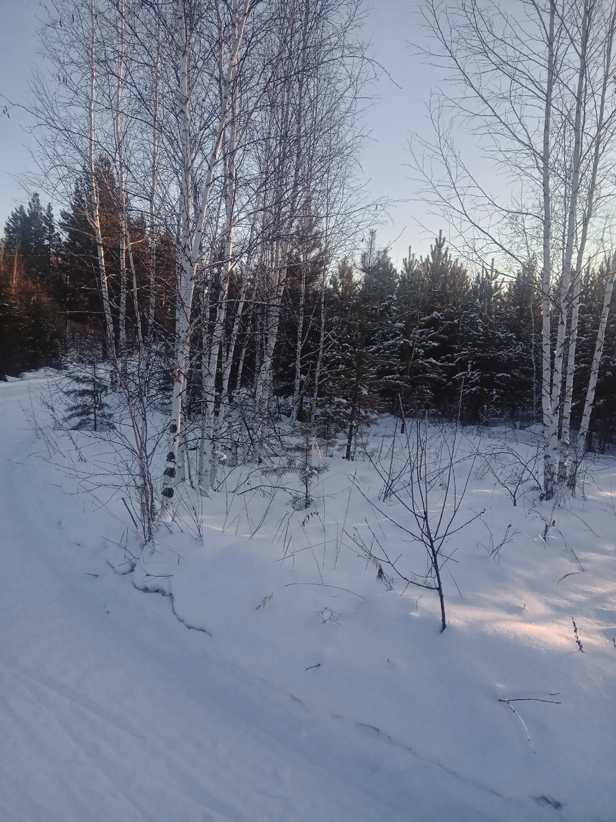 Кругом очень красиво