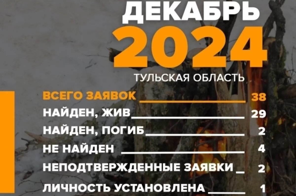    В Тульской области за месяц нашли живыми 29 пропавших
