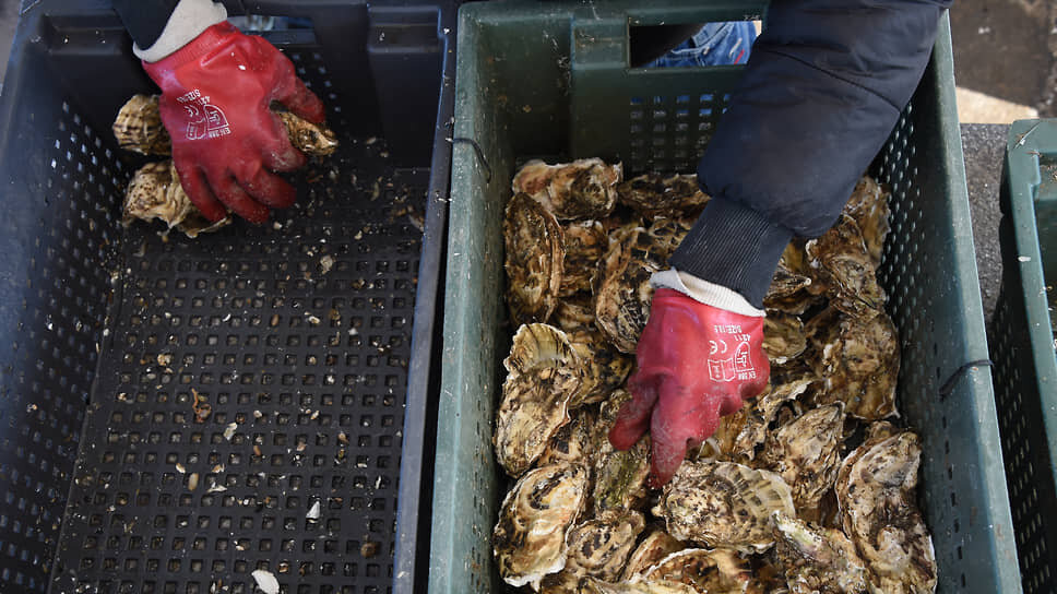 Фото: Виктор Коротаев / Коммерсантъ