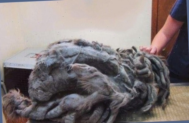 Опять вляпался куда попало!