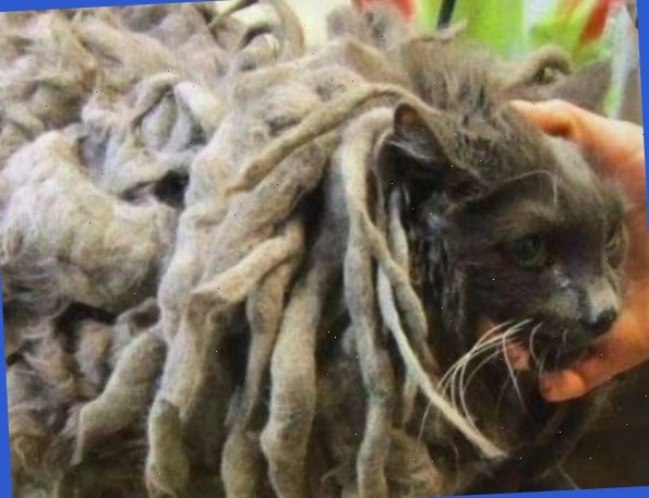  Туда зашел, а обратно пятая точка не пролезла.