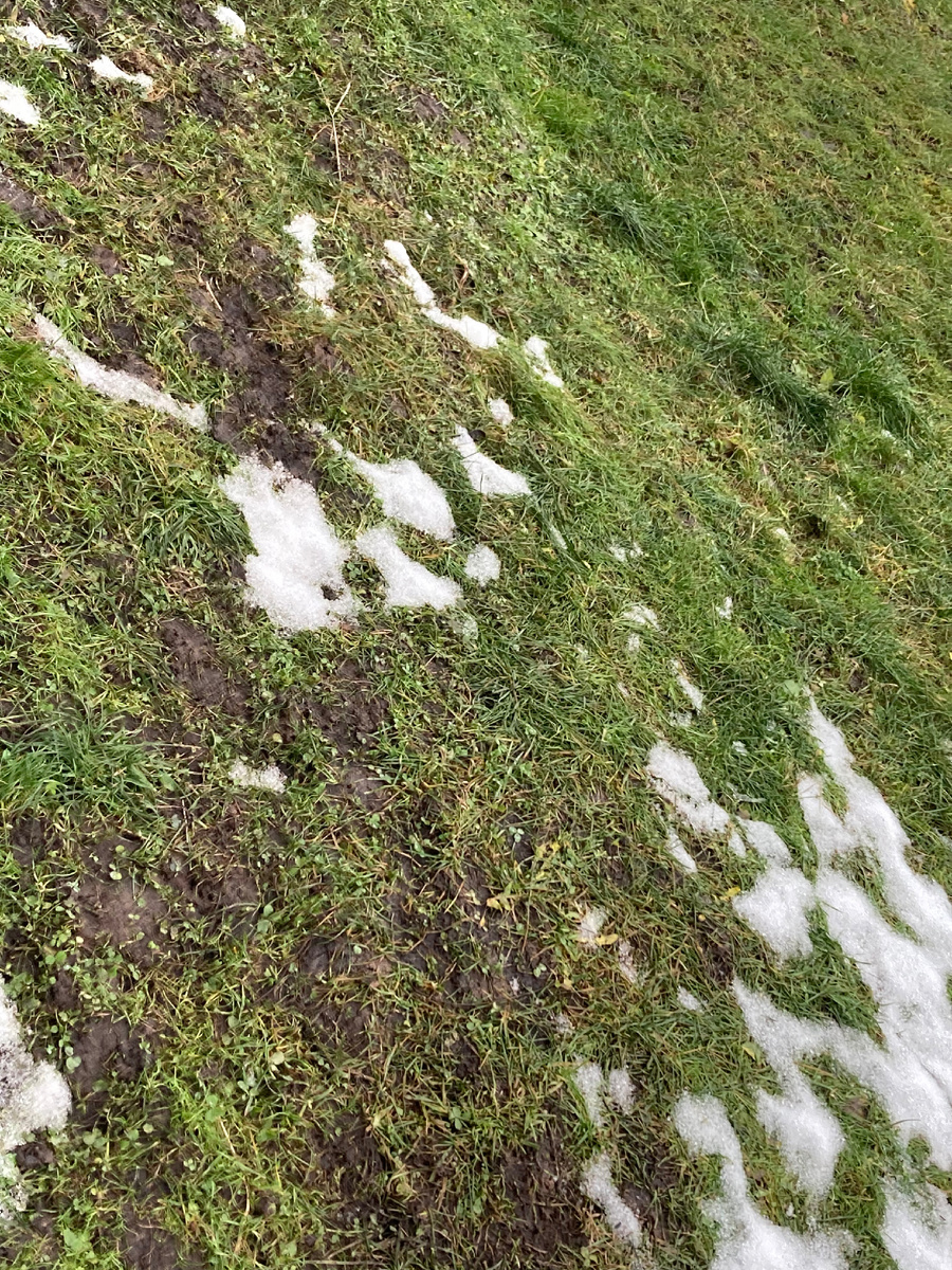 11.01.2025 на моей даче