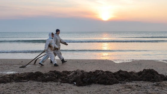    Выбросы нефтепродуктов впервые зафиксированы в Ялте на южном берегу Крыма Алина Городниченко