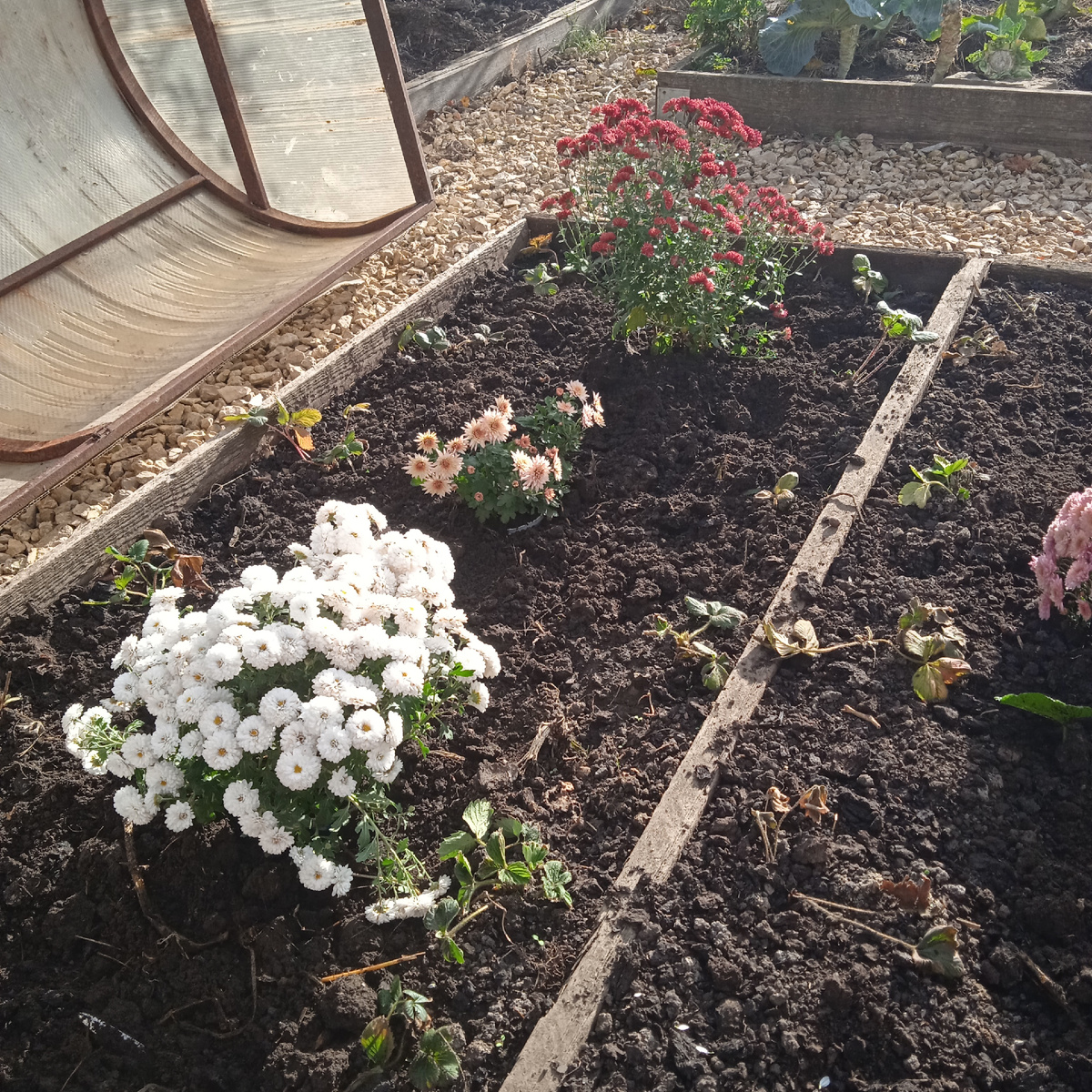 так это выглядело в октябре.