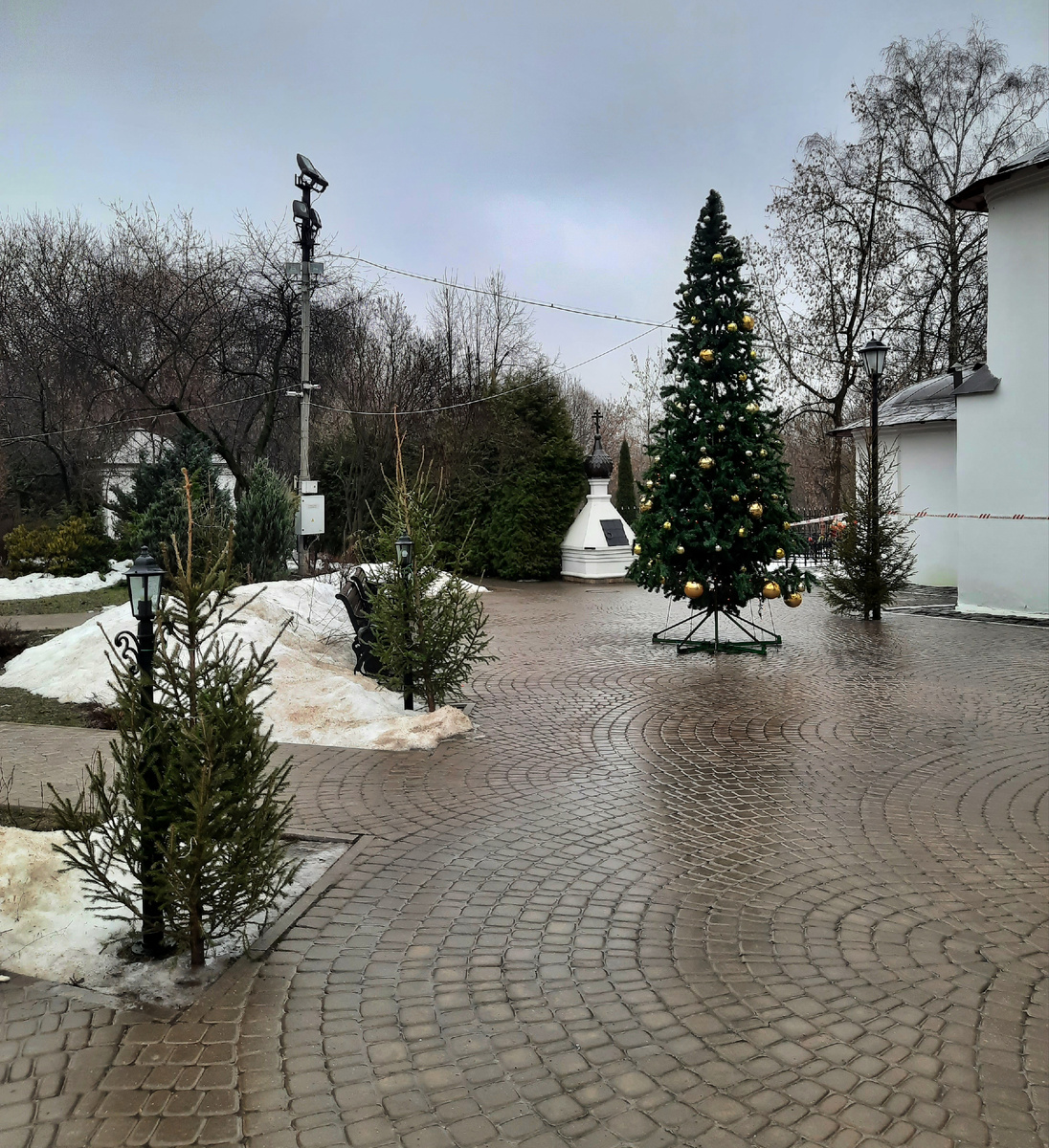 Все фотографии в статье мои