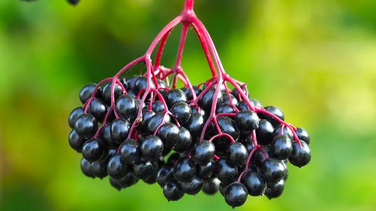 фото https://img51994.telefamily.ru/