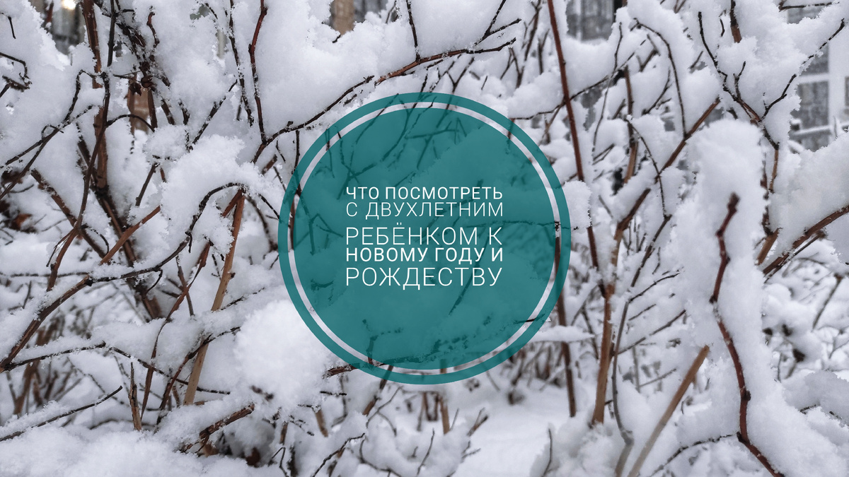 Фотография автора