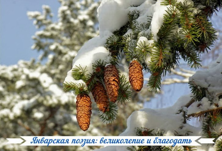 Фото взято с Яндекс. картинки