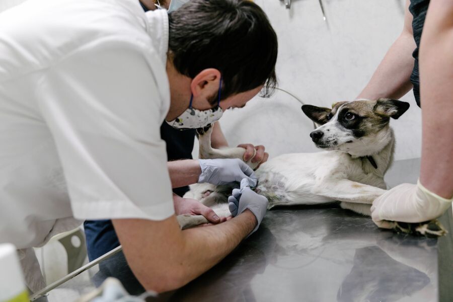     / Источник: © Варвара Гертье/РИА Новости