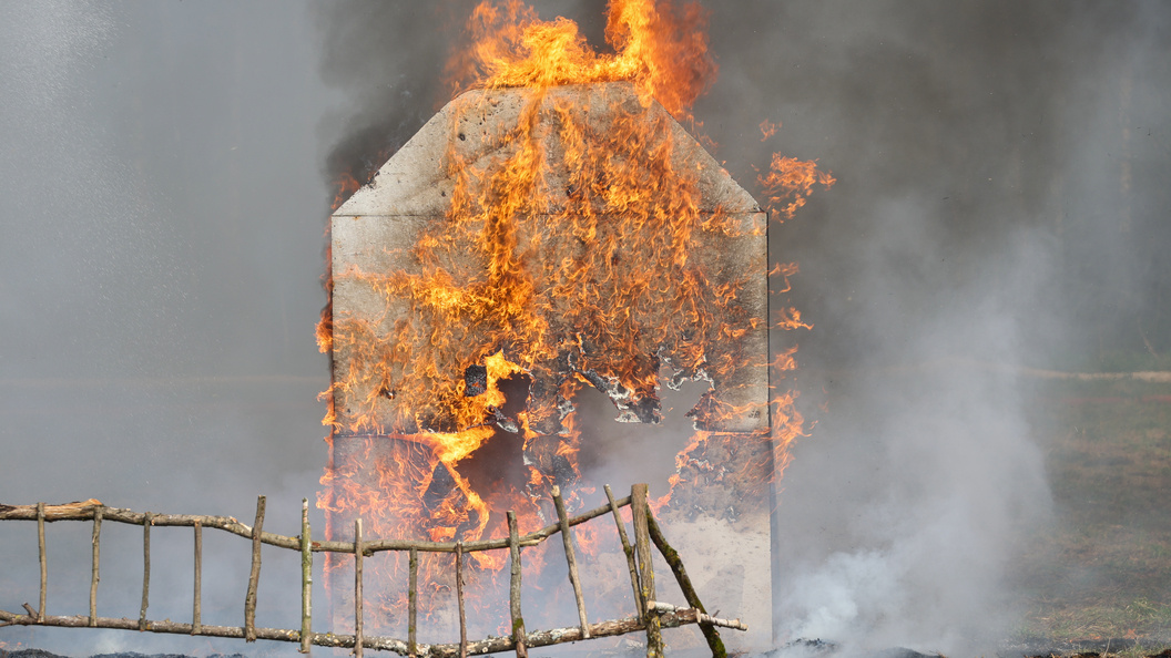    фото: Petrov Sergey/news.ru