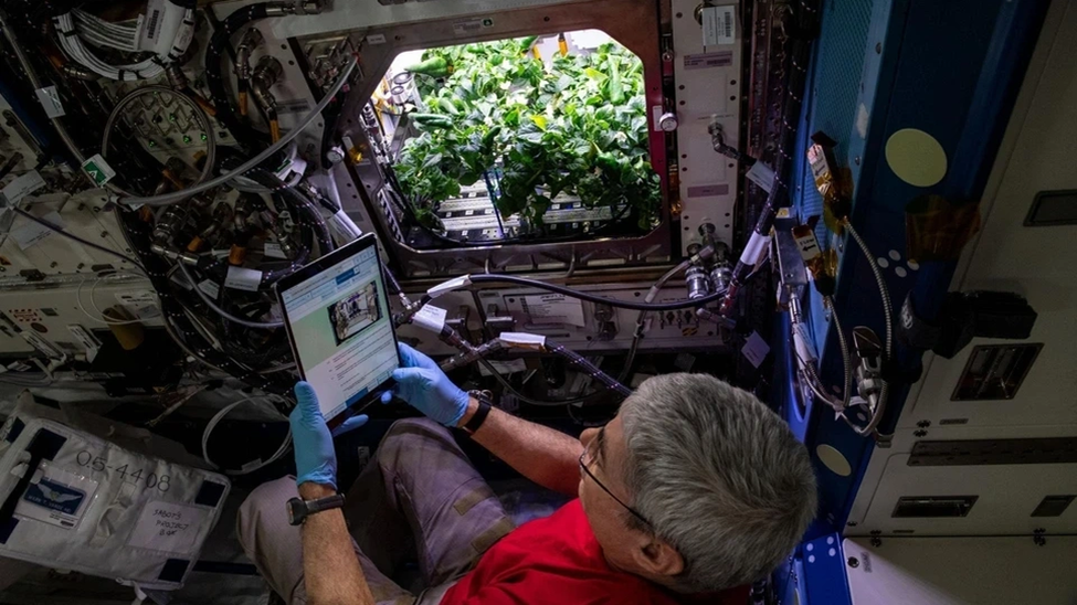 Проведение биологического эксперимента на МКС. Фото: nasa.blog.com