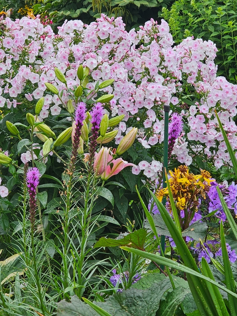 В галерее 4 фото, листайте