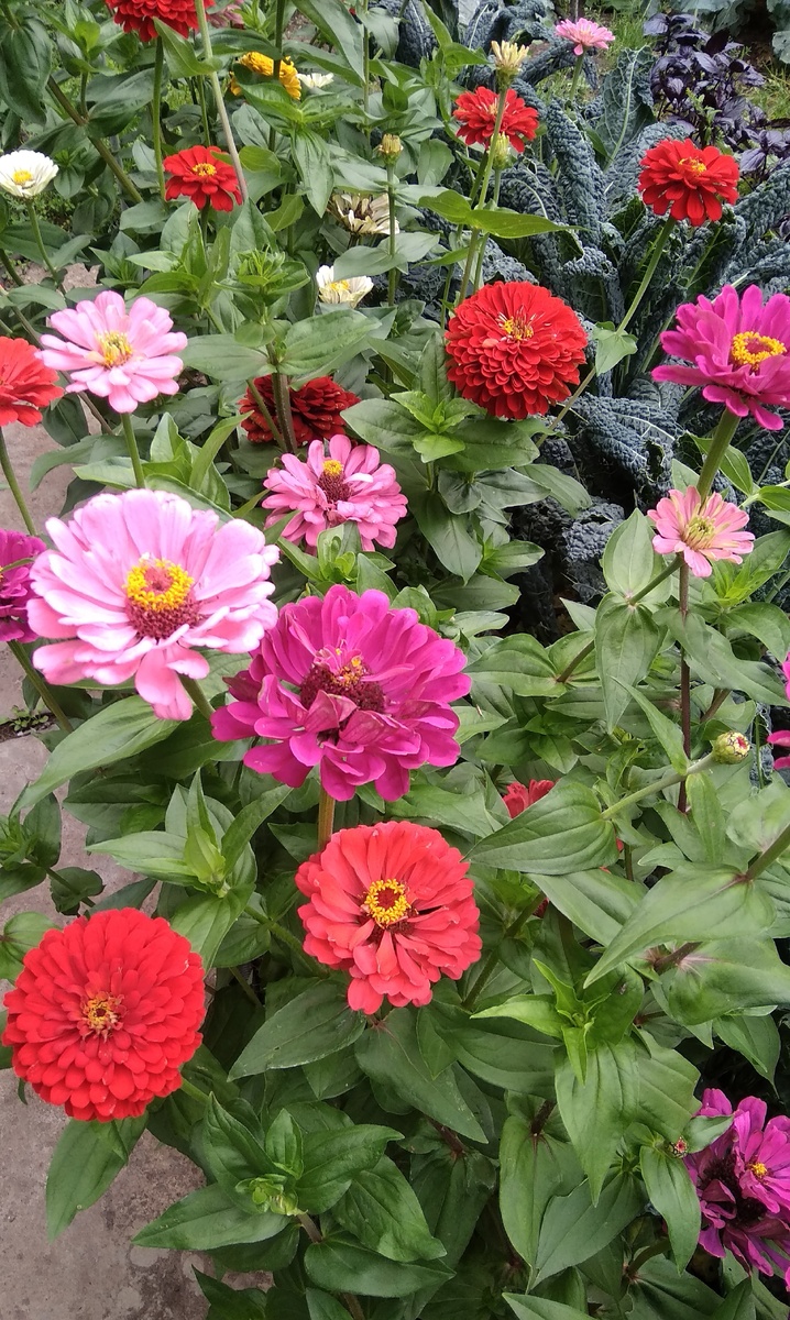 Вот такая красота была у нас. 