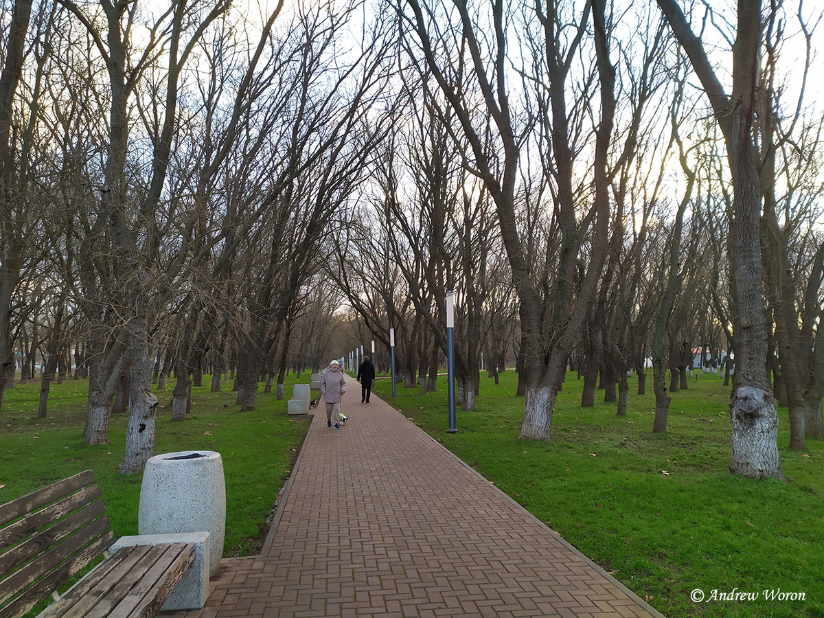 Восточная аллея парка