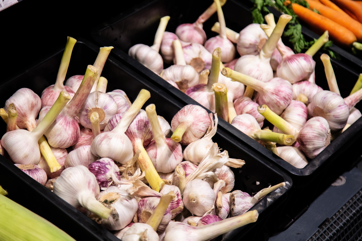 Фото: Общественная Служба Новостей