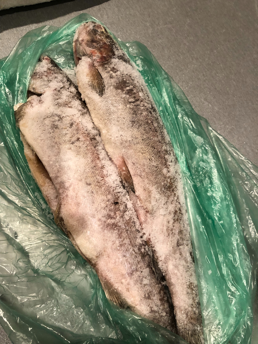 ШТУКА(ЩУКА) (РЫБА ИЗ ХОЛОДИЛЬНИКА АВТОРА)