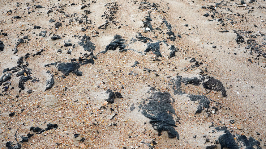    Фото: ИЗВЕСТИЯ/Павел Волков