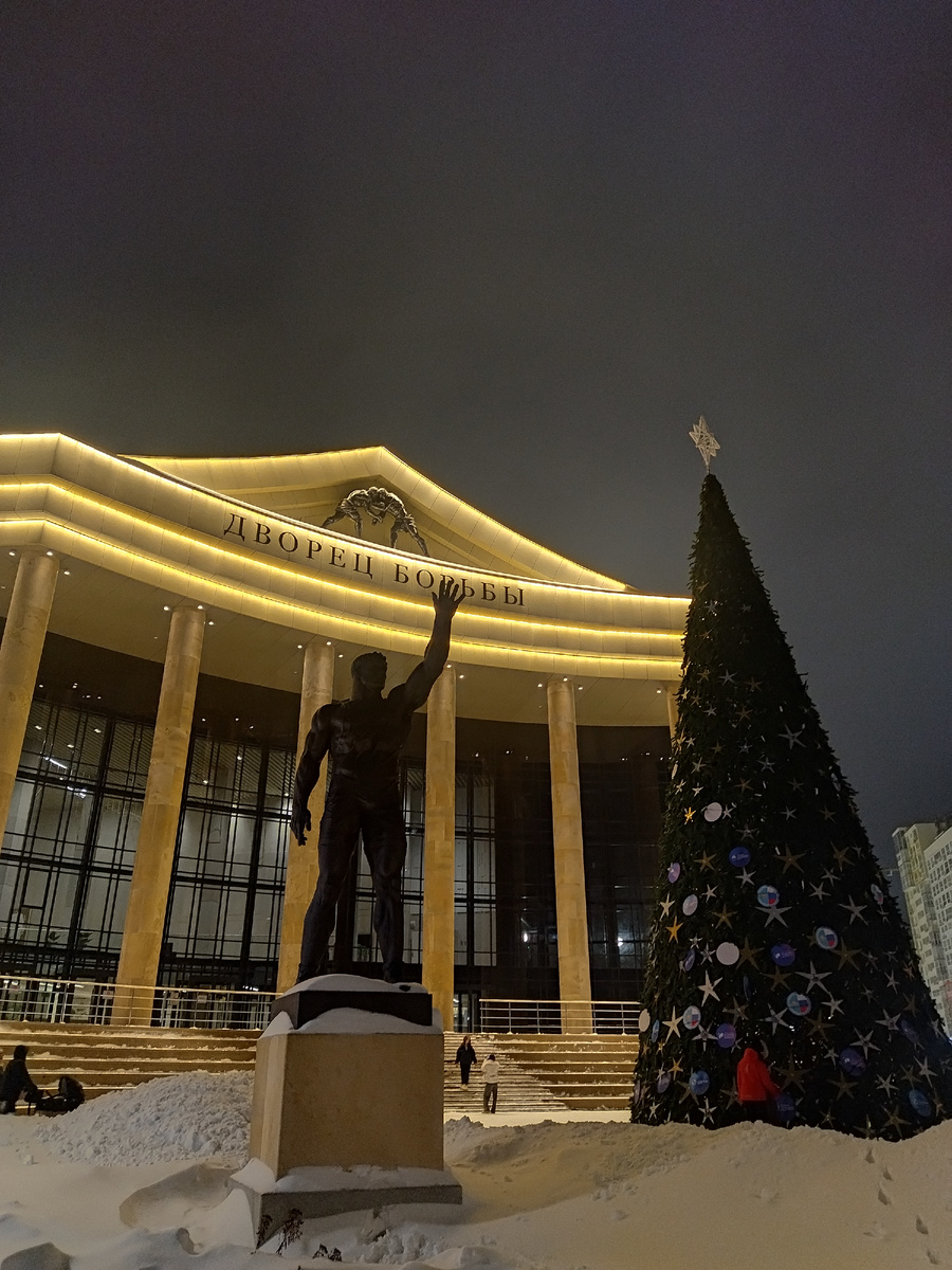 Дворец борьбы